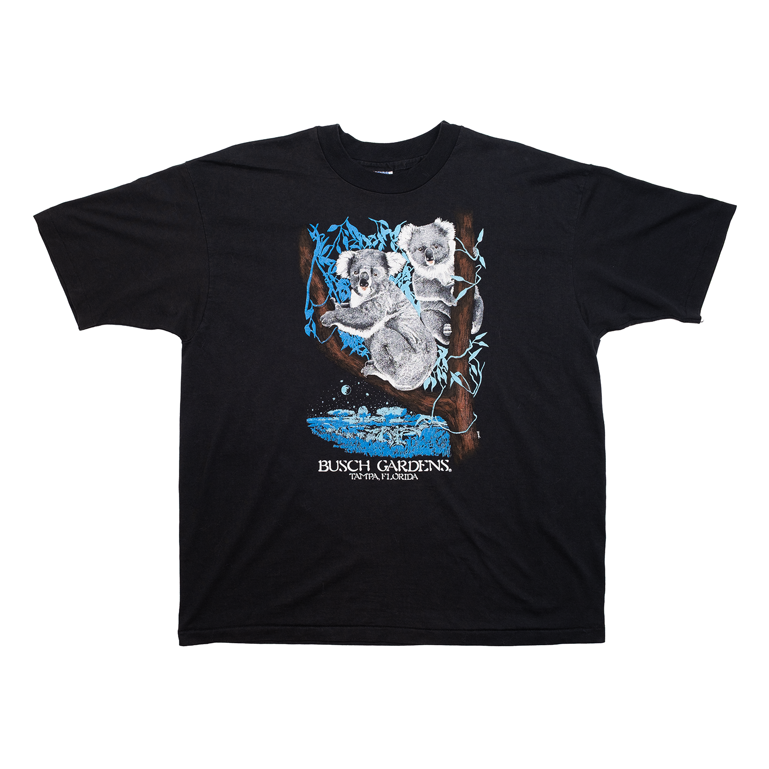 Vintage black Busch Gardens Tampa koala graphic T-shirt, front view