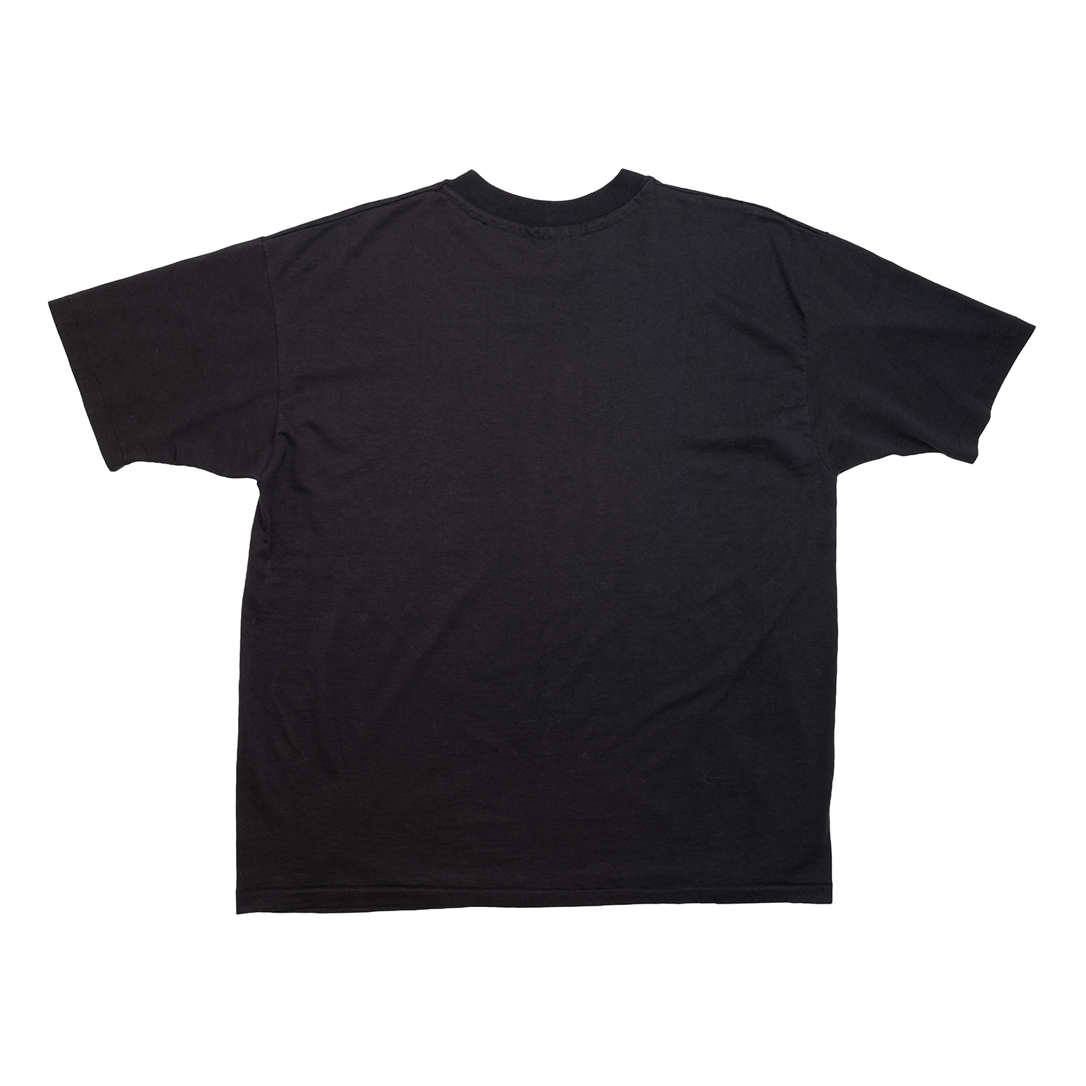 Vintage Busch Gardens koala T-shirt in black, plain back view